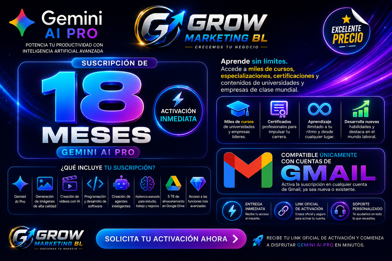 GEMINI PRO 18 MESES